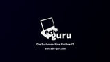 EDV-Guru / Эрх бүхий түнштэй эрх бүхий түншлэл